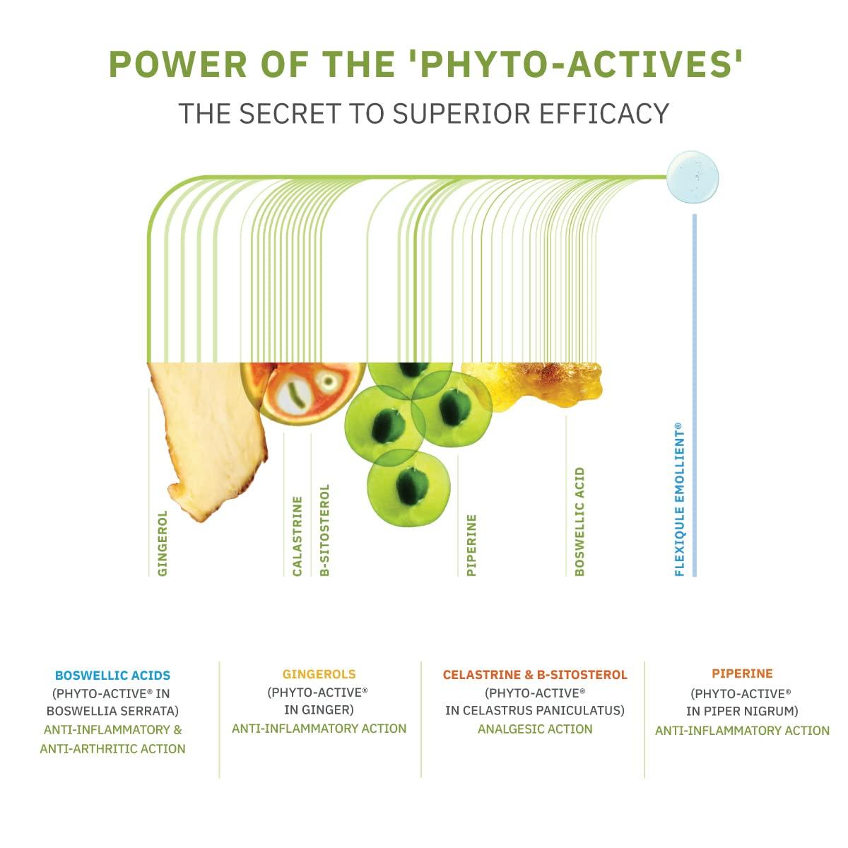 AlchemLife AlchemLife Flexiqule Emollient For Instant Relief From Joint Pain and Stiffness, 30 ml (Pack of 5)