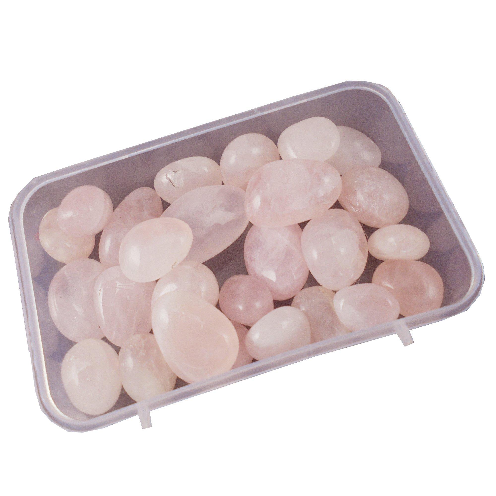 chaukhamba surbharati prakashan AYURVED SAMUCCHAYA