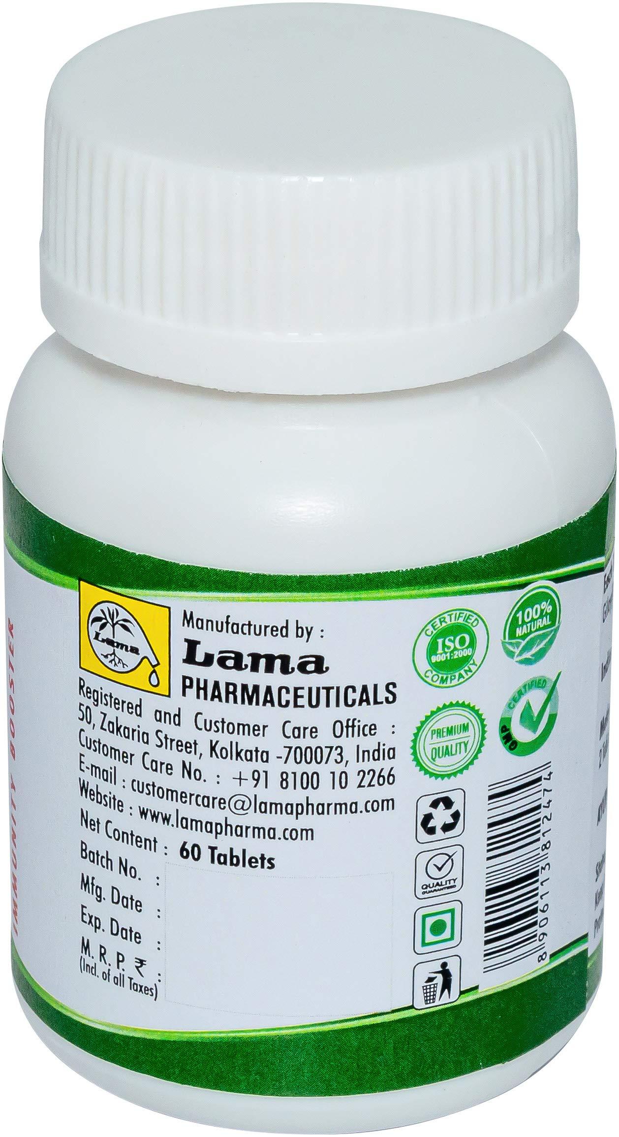 LAMA Immunity Kit for Senior Citizen (Diabetic) - Giloy Ghan Bati, Ayush Kwath Powder, Ashwagandha Churna, Yastimamdhu Churna, Chyawanyog 500g - 1 pack each