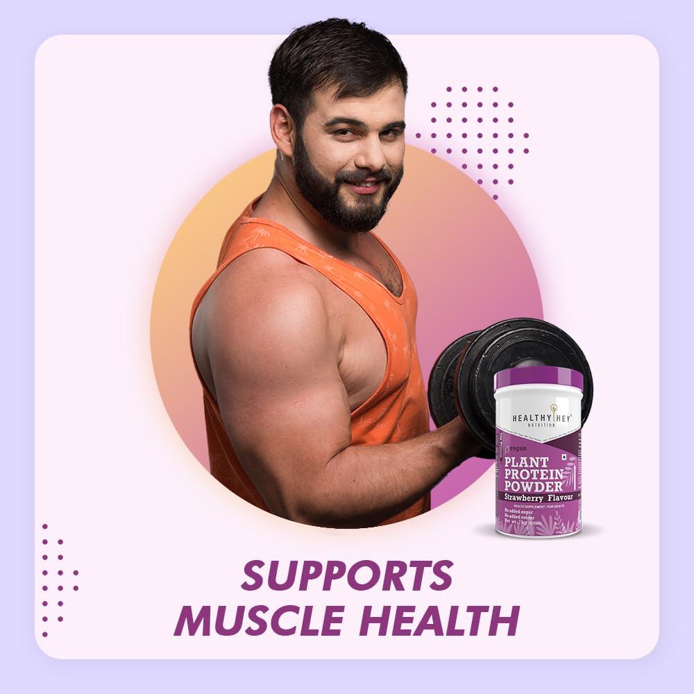 HealthyHey Nutrition HealthyHey Nutrition Plant Protein Powder, Vegan Protein, Low Net Carbs, Non Dairy, Gluten Free, Lactose Free, No Sugar Added, Soy Free, Non-GMO (Strawberry, 1Kg)
