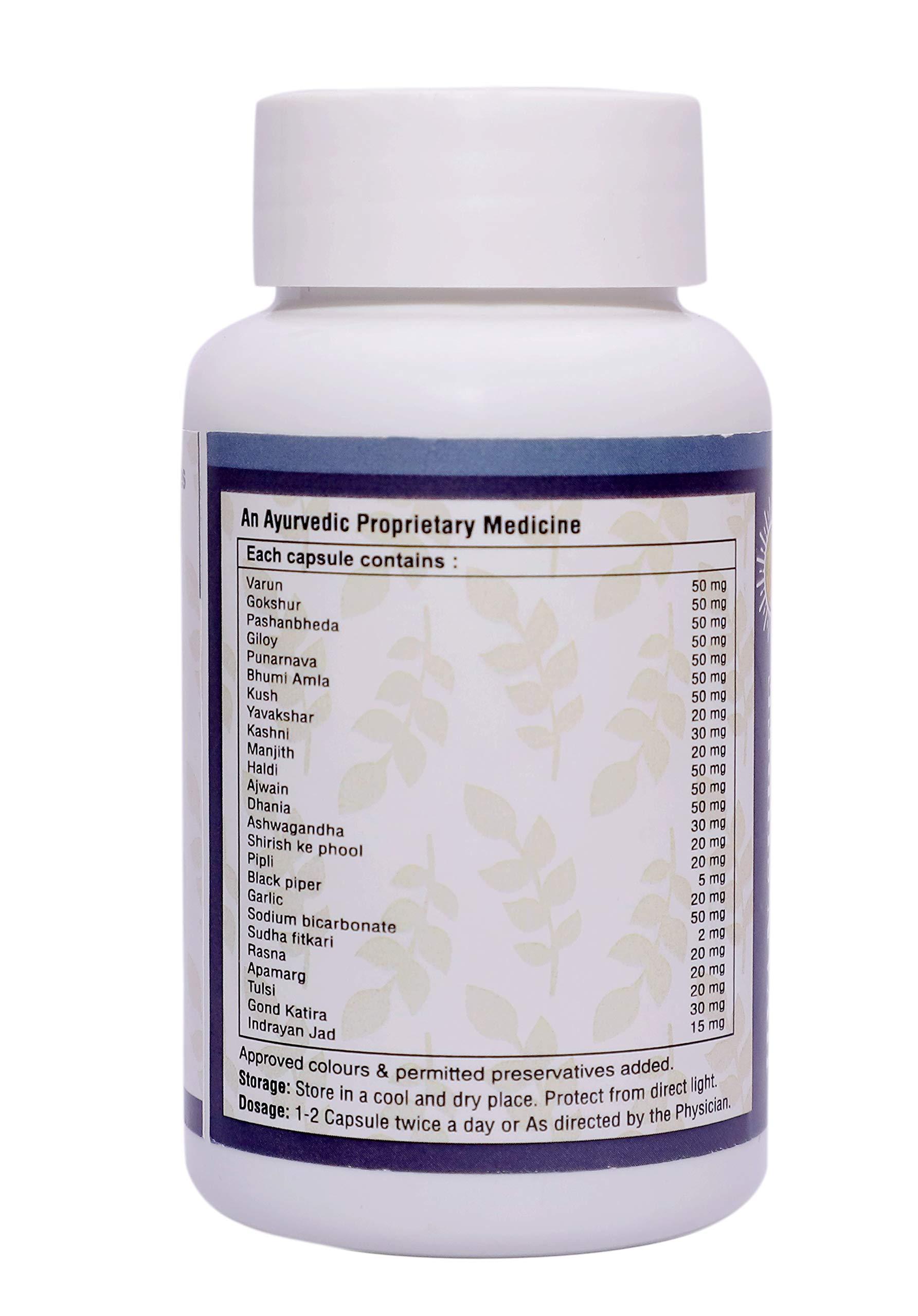 JIVAN SHREE WITH DEVICE OF SHREE Kidney Formula Ayurvedic medicine for Kidney (All Problems) & Creatnine Kidney Support |Natural Kidney Cleanse And Detox Supplement (120 Capsules Pack of 2)