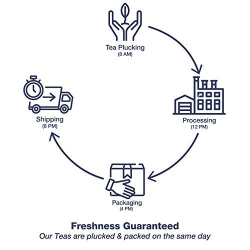 Dharmsala Tea Company Dharmsala Jasmine Oolong Tea, Chinese Style Oolong Tea, Himalayan Whole Leaf Oolong Loose Tea with Jasmine, 25g, Freshly Packed at our Plantations in Dharmsala