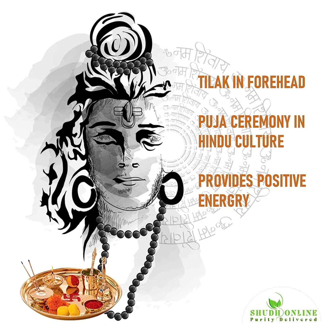 Shudh Online Shudh Online Vibhuti Bhasma, Vibuthi pure powder - Holy ash (200 Grams), Thiruneeru, Shiva Viboothi, Vibhooti, Bibhuti