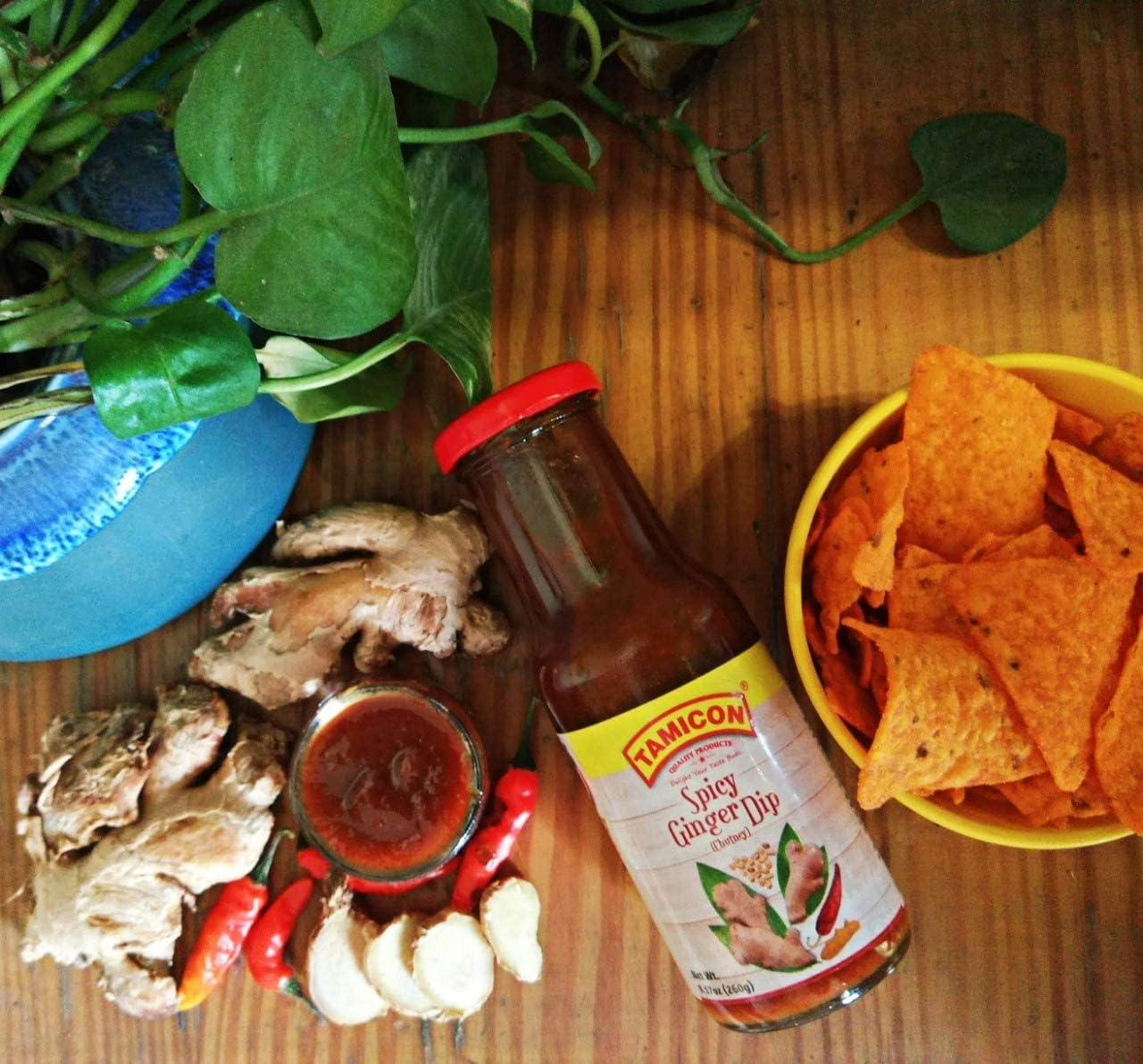 Tamicon Tamicon Spicy Ginger dip