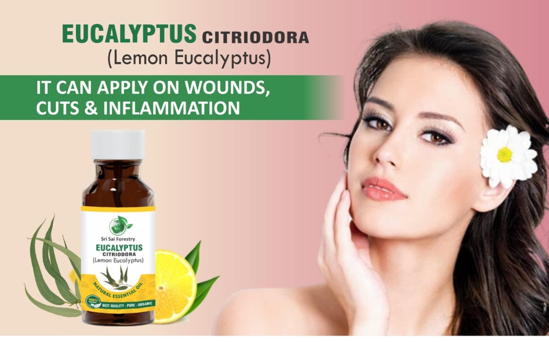 SRI SAI FORESTRY SRI SAI FORESTRY Eucalyptus Citriodora Oil (Lemon Eucalyptus) 50ml for Fresh, Citrusy Fragrance