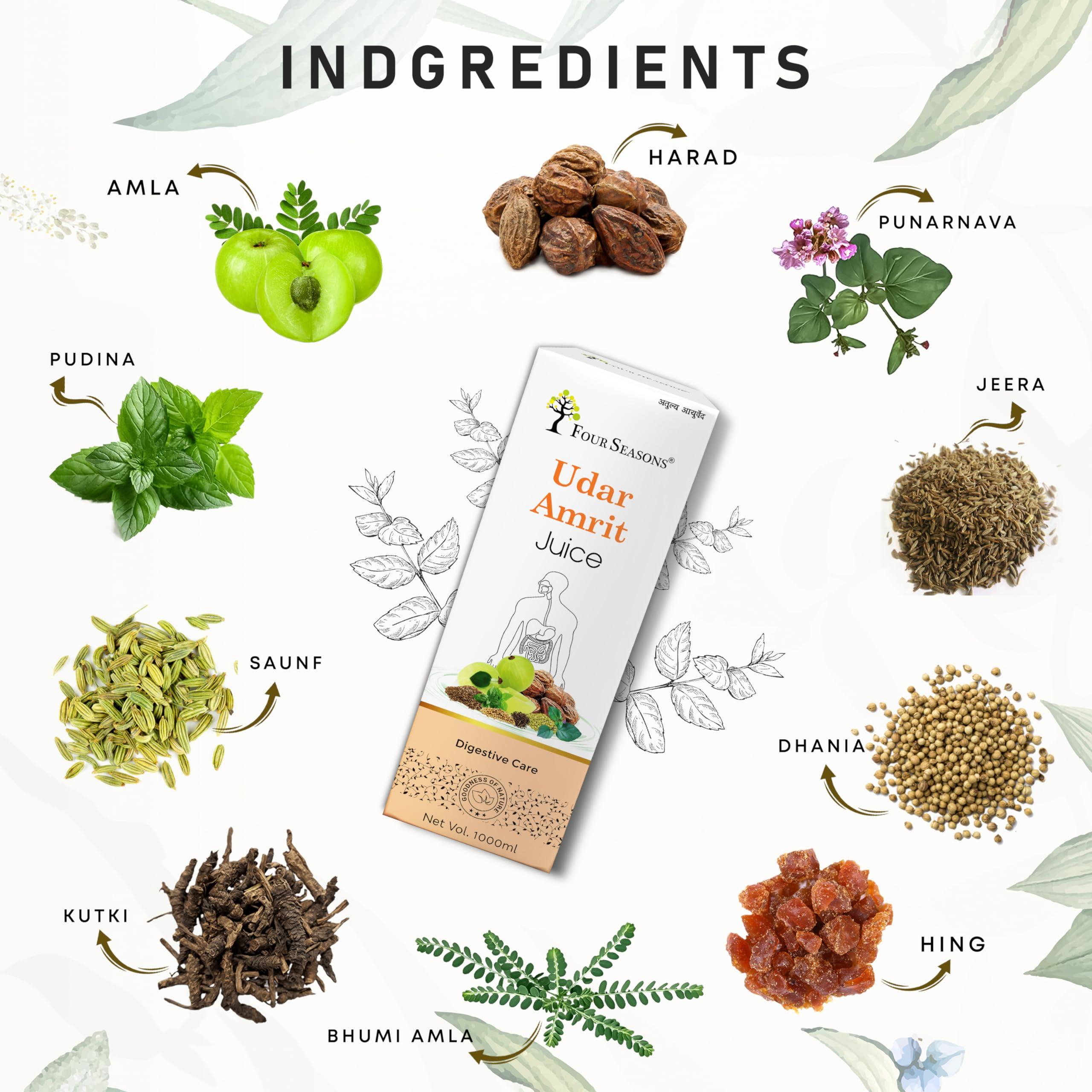 Four Seasons Four Seasons Ayurveda Udar Amrit Juice, Digestive Care Juice | Provides Relief From Acidity & Bloating | Aid Digestion and Metabolism 1000ml (PACK OF 2)