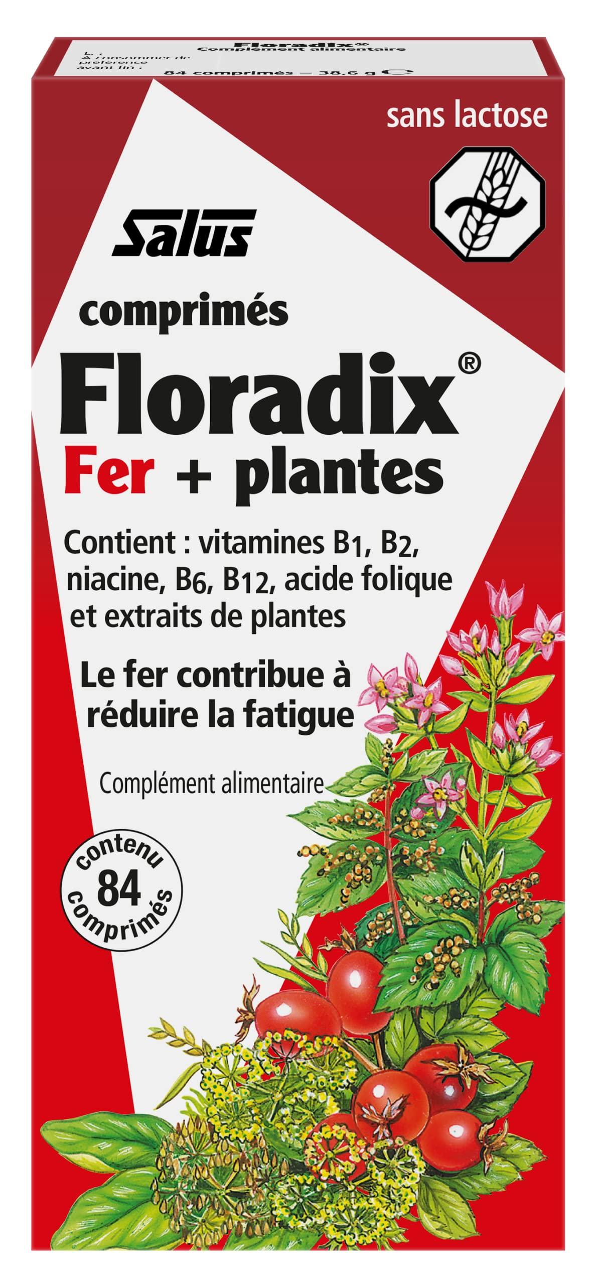 Floradix Floradix Iron 84 Tabs