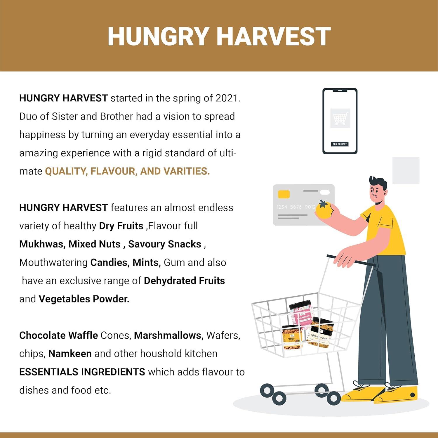 Hungry Harvest Hungry Harvest Dry Ginger Powder-Sonti Powder - Soonth - Sonth Powder - Saunth Powder 200 Gram