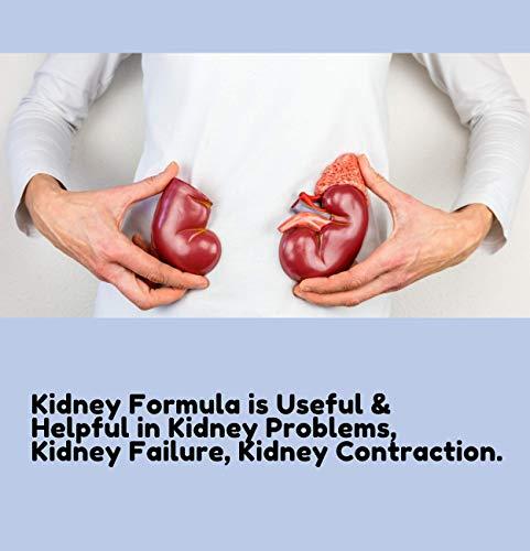 JIVAN SHREE WITH DEVICE OF SHREE Kidney Formula Ayurvedic medicine for Kidney (All Problems) & Creatnine Kidney Support |Natural Kidney Cleanse And Detox Supplement (120 Capsules Pack of 2)