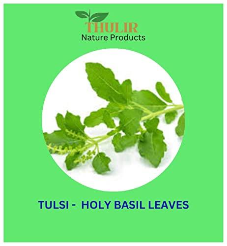 THULIR THULIR Tulsi Leaf Powder | Holy Basil Leaf Powder - 100 Gms| Ocimum Tenuiflorum