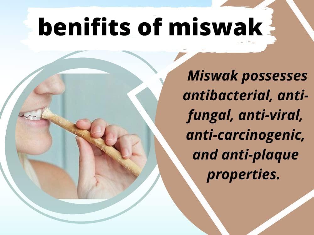 Billion Deals Natural Traditional Miswak (sewak) Peelu Chewing Stick Toothbrush for Whiter Teeth (3)