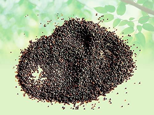 India's Creation Jodhpur Samunder Sokh Seeds-Kamarkas Seeds-Raw Herbs-Samudra Sosh-Samundar Sokh-Convolvulaceae-Single Herb-Jadi Booti (400 Gram)