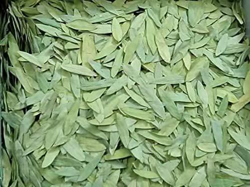 Generic Senna Leaf/Alexandrina/Cassia Angustifolia/Sonamukhi Patta/Sanay Patti (250 g)