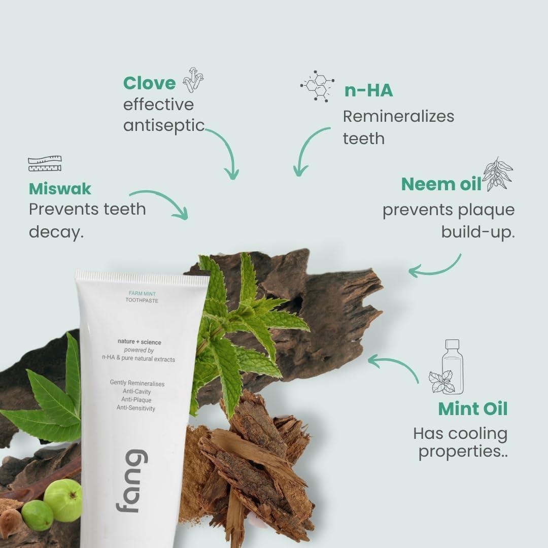 Fang Fang Farm Mint Natural Toothpaste|Fluoride Free Hydroxyapatite|Teeth Whitening|Heals Sensitive Teeth|Fights Cavities,Gum Diseases & Bad Breath|SLS & Chemical Free|Organic, Vegan|100 grams(Pack of 1)