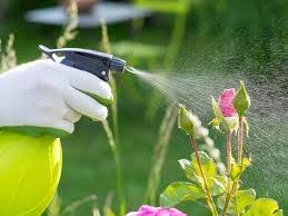 EG ELAMGREEN Elamgreen Organic Cold Pressed Neem Oil, 100 ml - Pack of 2