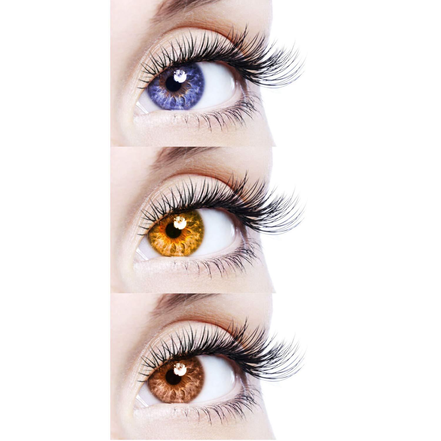 EYCOG EYCOG 3 Pair Monthly Blue Honey Brown Colored 0 Power Contact Lenses for Eyes Men and Women with Lens Case