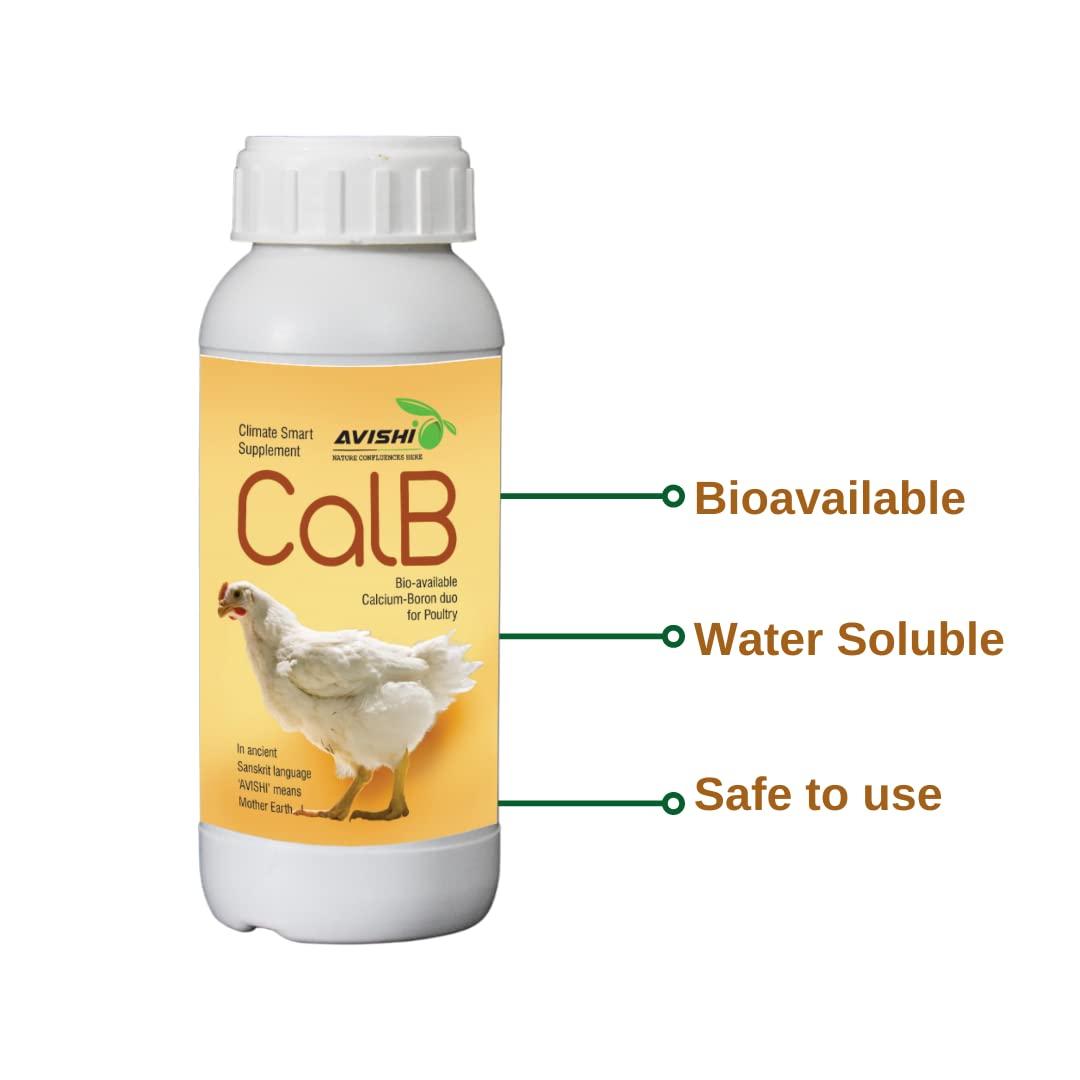 Avishi Avishi CalB Calcium-Boron Duo for Poultry (500 ml), Active Calcium for Strong Bones, Better Wound Healing and Embryonic Development