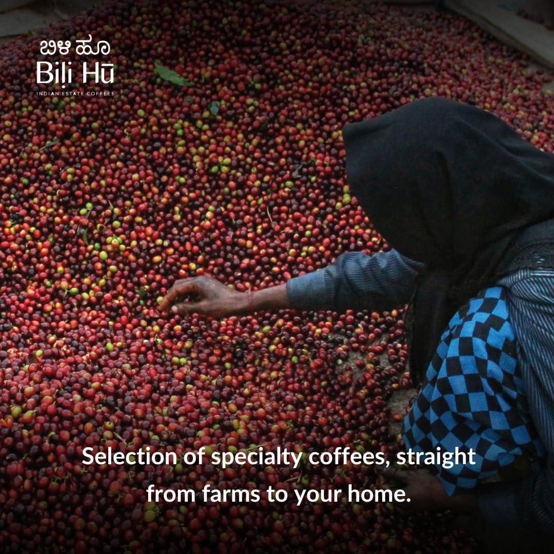 Bili Hu Bili Hu 70% Arabica 30% Robusta Blend Coffee | Whole Beans - 200G | Made with 100% Specialty Grade Arabica & Robusta Freshly Roasted Coffee Beans