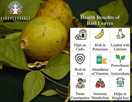 AYURVEDASHREE AYURVEDASHREE Bilva Powder - Bael Leaves Powder - Aegle marmelos - 200 Gm - Supports Proper Function of The Bowels