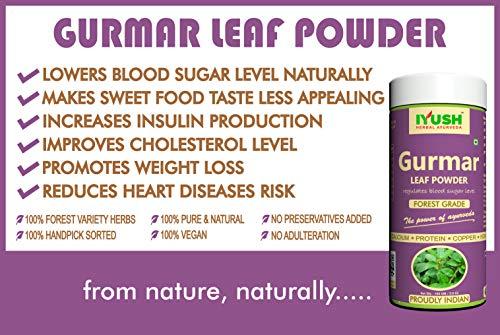 IYUSH Herbal Ayurveda IYUSH Herbal Ayurveda Gudmar/Gurmar Powder - 100gm