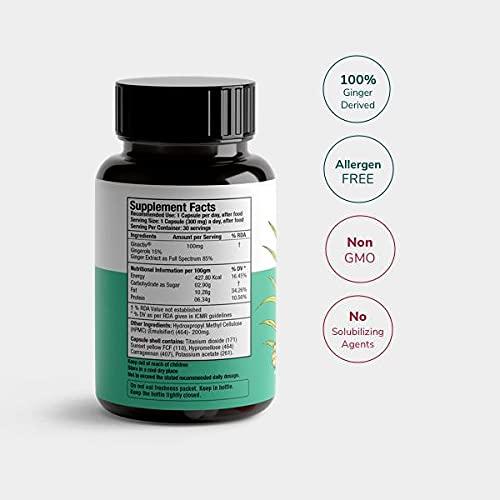 AUREA PUREVEDA Pureveda Activ Digest - Full Spectrum Ginger Extract Capsule - Natural Digestion Supplement - Improve Gastrointestinal Health - 30 Veg Capsules