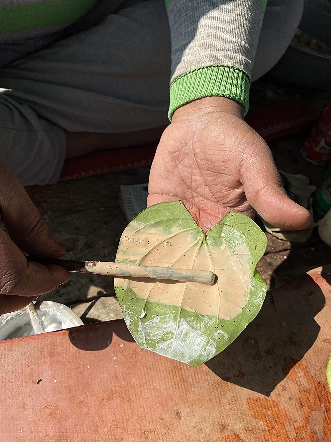 SENO Pan Kattha | Pan Katha | Paan Kattha | Paan Katha | Acacia Catechu Powder for Paan | Pan Kattha Powder | Sukha Kattha , Dry Kattha 40g +40g Pack of 2