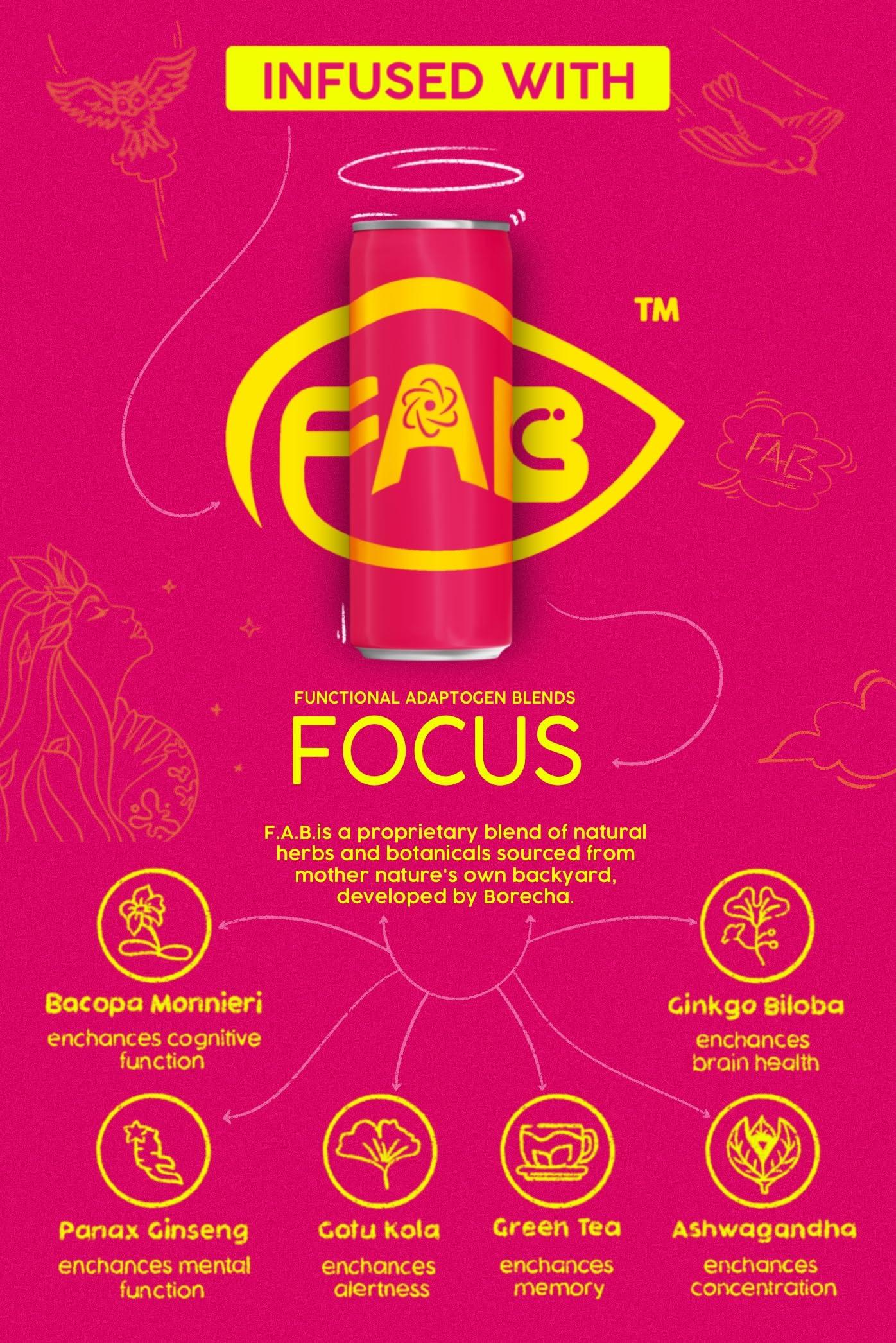 Borcha Borcha ICEY Sparkling Iced Tea 330ml | Cold Brewed | Gut Friendly | Gluten free | Vegan and Unpasteurised | Natural Functional Beverage | (Strawberry Lemonade, Pack Of 12)