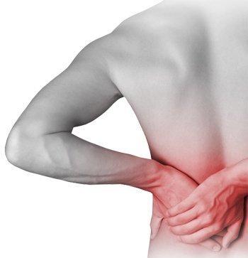 Sira JointComfo Sira Bamboo Charcoal Back Belt for Back Pain Lumbar Support Belt Joint Pain Waist Pain Reliever Waist Support Belt Workouts Gymnastic Relief Swelling Dual Adjustable Straps for UNISEX (M)