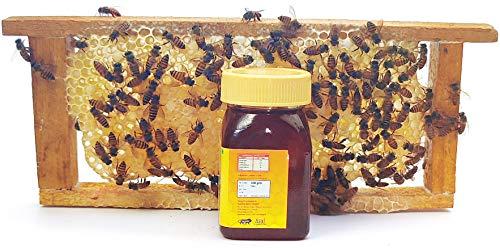 Queen Bees Honey Queen Bees Honey | 100% Pure India's No.1 Honey Brand | Original Honey | Organic Honey | Natural Honey | 100g