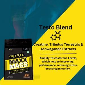 Infi Infi Aneroid Dial Type Sphygmomanometer Blood Pressure Monitor | BP Apparatus Manual | Manual BP Operator | For Precise Measurements | Readable and Clear Dial | 1 Year Warranty | Latex Free Cuff | Imported Bulb For Medical Professionals