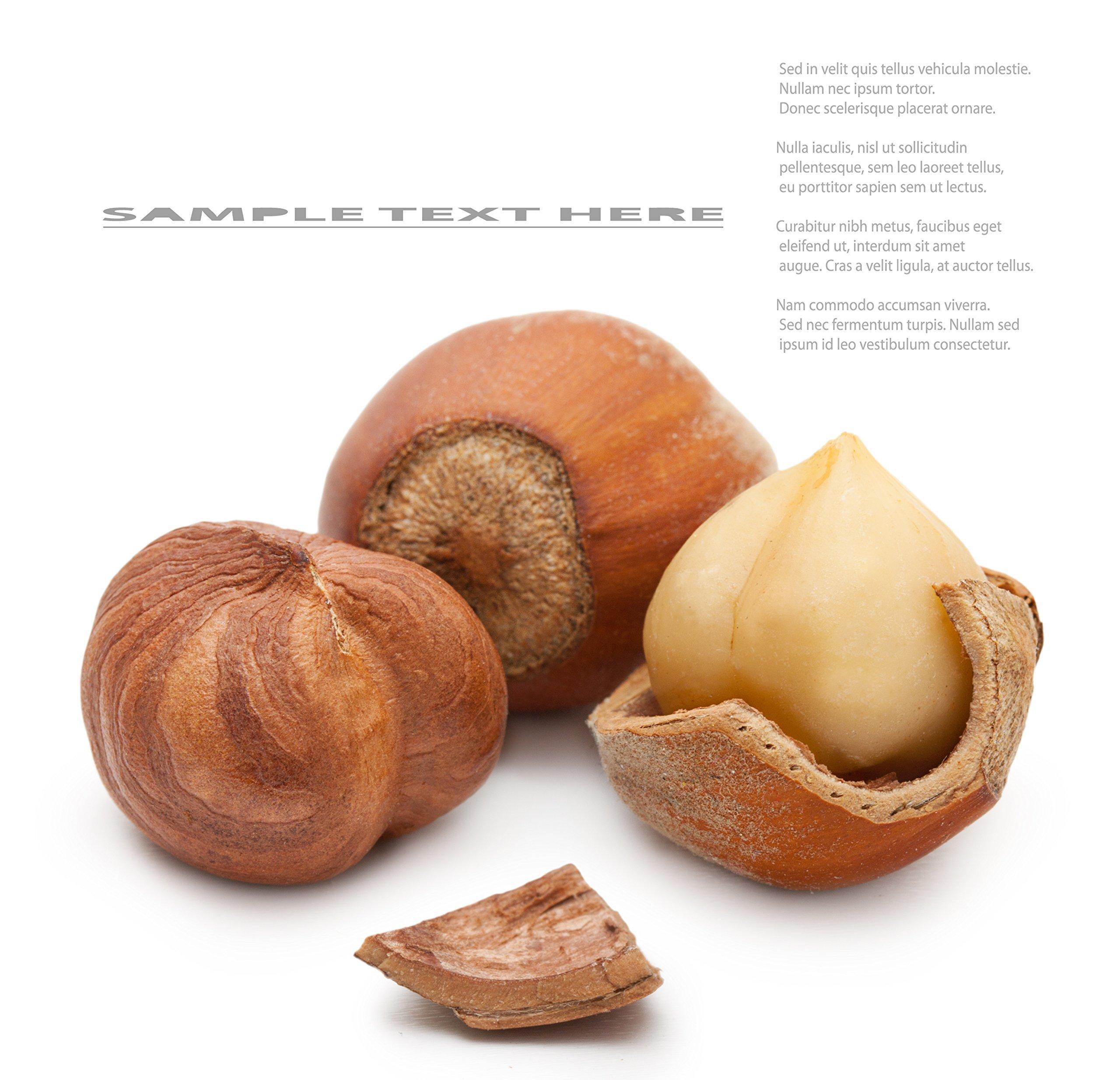 Berries And Nuts Berries and Nuts Premium Raw Jumbo Hazel Nuts, 500g