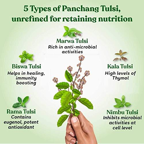 AITNE LIFESCIENCES Pure Tulsi Ark Drops - Natural taste, color, and smell - 5 types of pure Tulsi, Natural Immunity Booster - 30 Ml | Just 2 drops in Tea or warm water| PACK OF 1