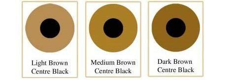 MD Prosthetic Contact Lens/Contact Lens (Light Brown Center Black) with Lens Case, Lens Holder and 60 ML Solution