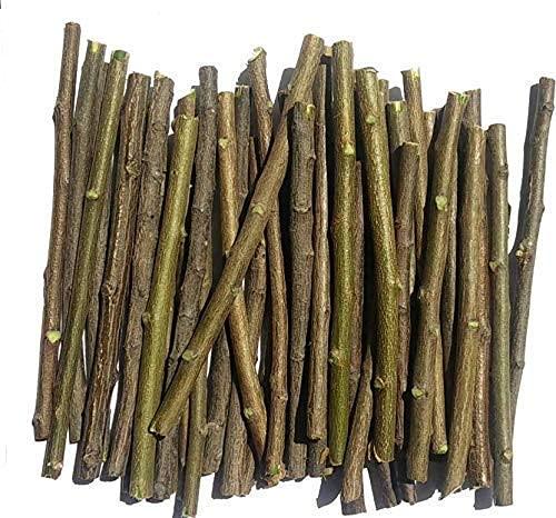 Yashvin Yashvin Ayurvedic Natural Organic Neem Datun (Pack of 40 Pieces) Toothbrush Nim Tree Twigs Chew Sticks for Brushing Teeth Removes Bad Breath, Relieve Tooth Ache, Healthy Toothpaste