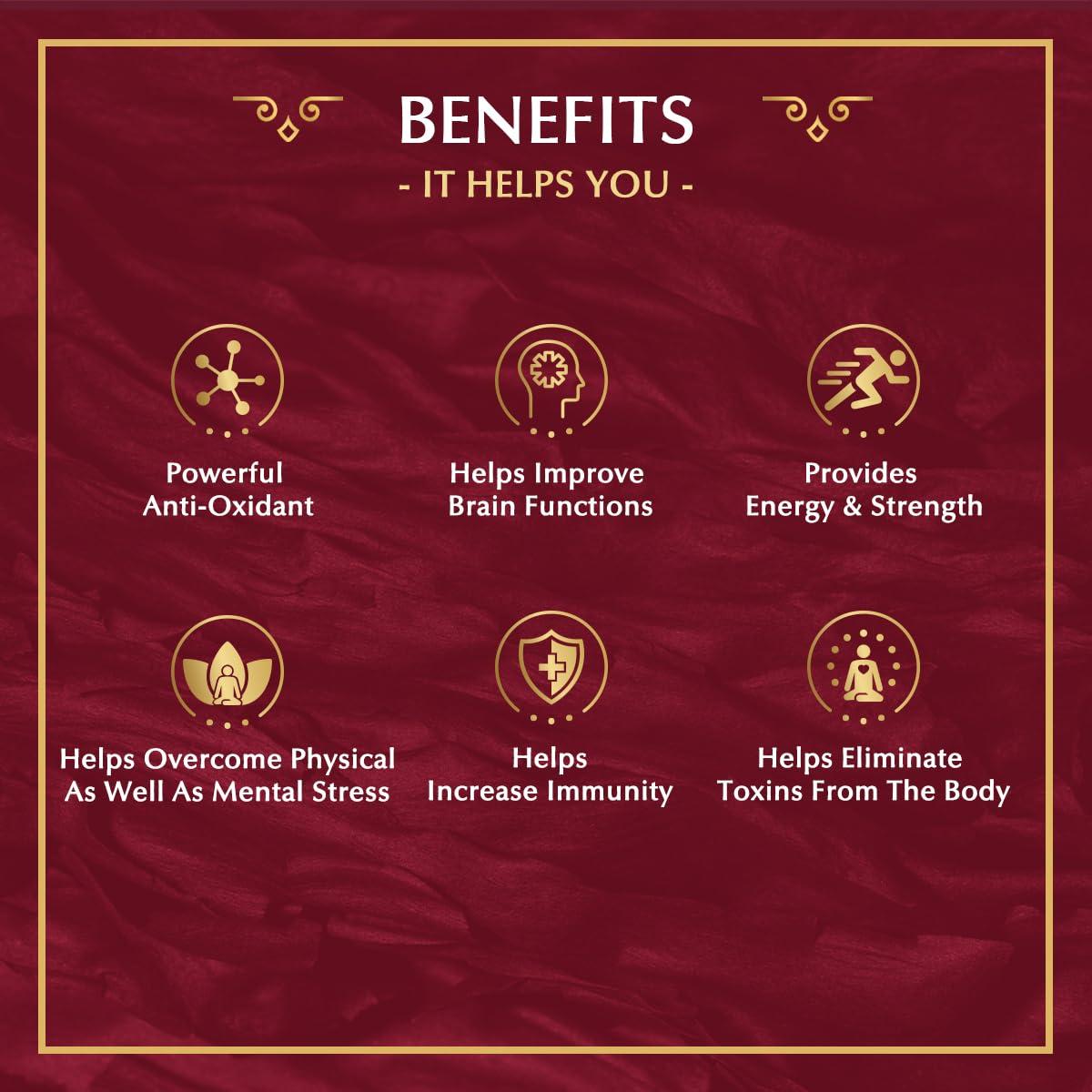 VASU VASU Ayurveda Pure Himalayan Shilajit Original Resin | Provides Energy & Strength | Powerful Anti-oxidant | Immunity Booster - 20g