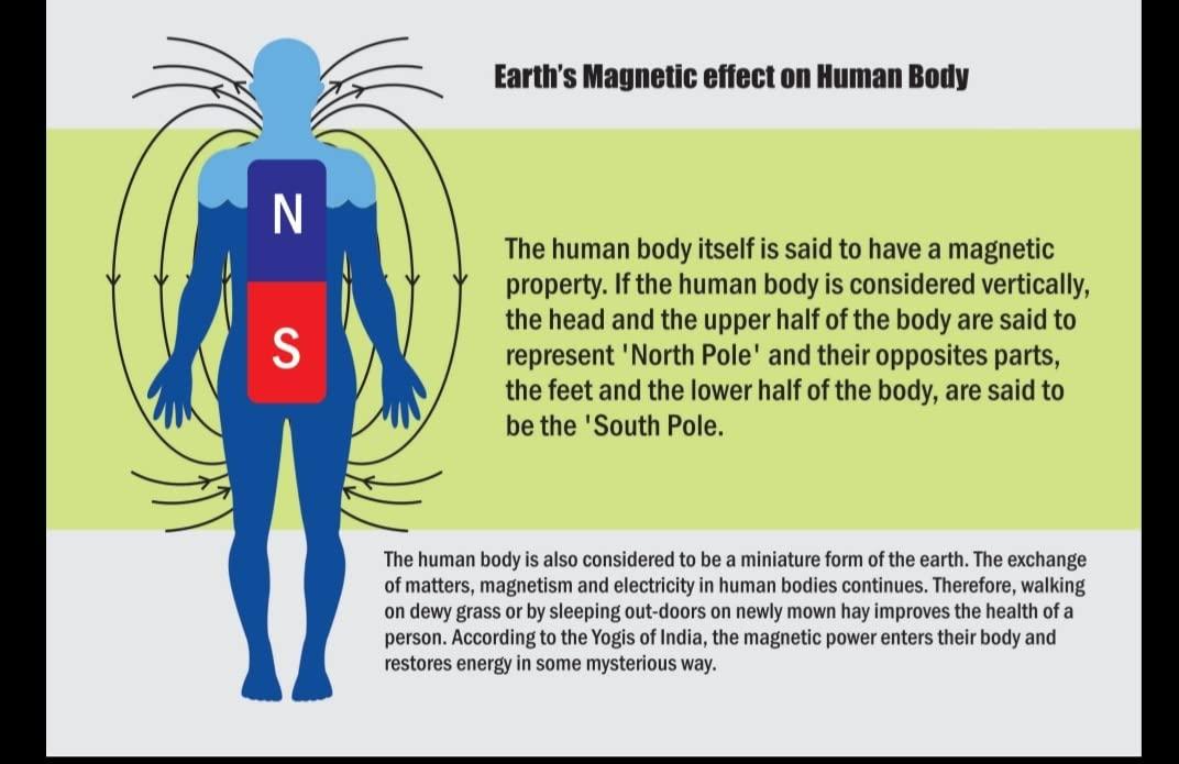 Generic The Traditional Export Magnetic Field Therapy | Bio Magnetic Mattress Topper (3x6 feet.)(Blue)