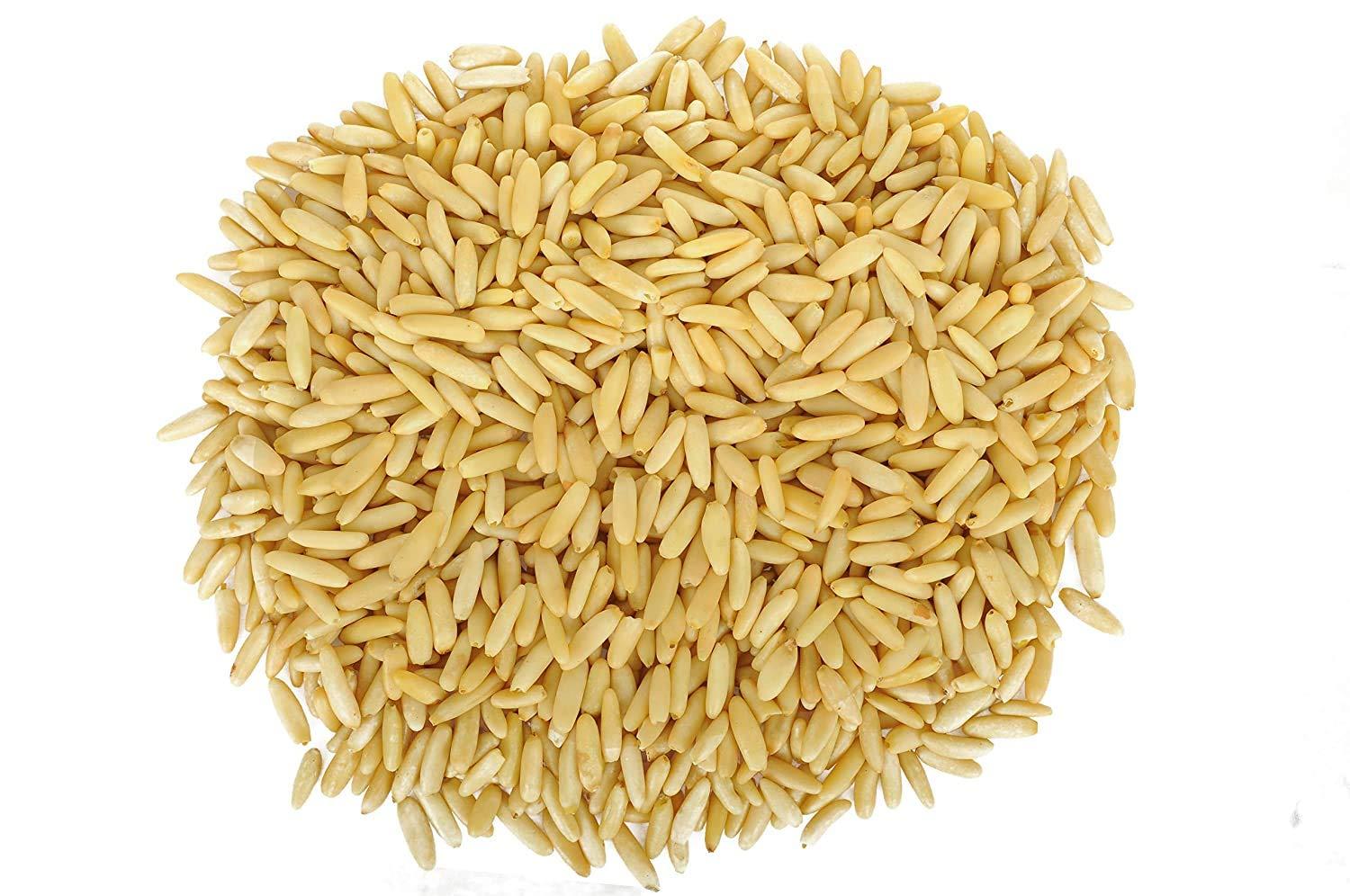 Dry Fruit Hub Dry Fruit Hub Pine Nuts without Shell 250gm Chilgoja,pine nuts chilgoza, Chilgoza Dry Fruits, Chilgoja In Dry Fruits Pack Of 250gm