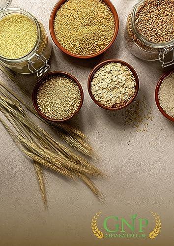 GEETA NATURE PURE GEETA NATURE PURE Chana Dal Sabut/Unpolished Chana Dal - Organic Healthy Pulses/Bengalgram/Kandi pappu/Chana Dal - 100% Organic (Pack Of 250 Gram)