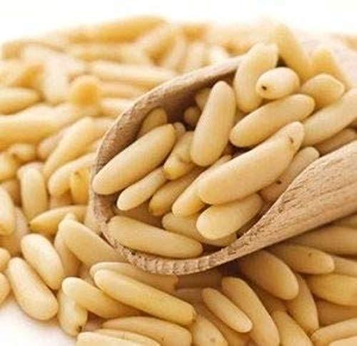 Prizex Prizex Pine Nuts | Lebanon Pine Nuts | Chilgoza 50gm