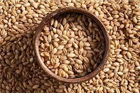 Generic Barley / 100GRAM / Jau/JAUN/Barley Grain/by SWASTIK RYNOK