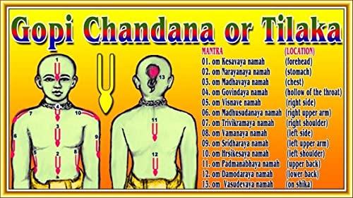 BhayaJi BhayaJi Original Natural Scented Gopi Chandan Tilak Forehead Tilak Stick (Yellow) Auspicious, scented, and sacred Tilak 100% pure, Spiritual things, Holy things, Hare Krishna (Set of 18)