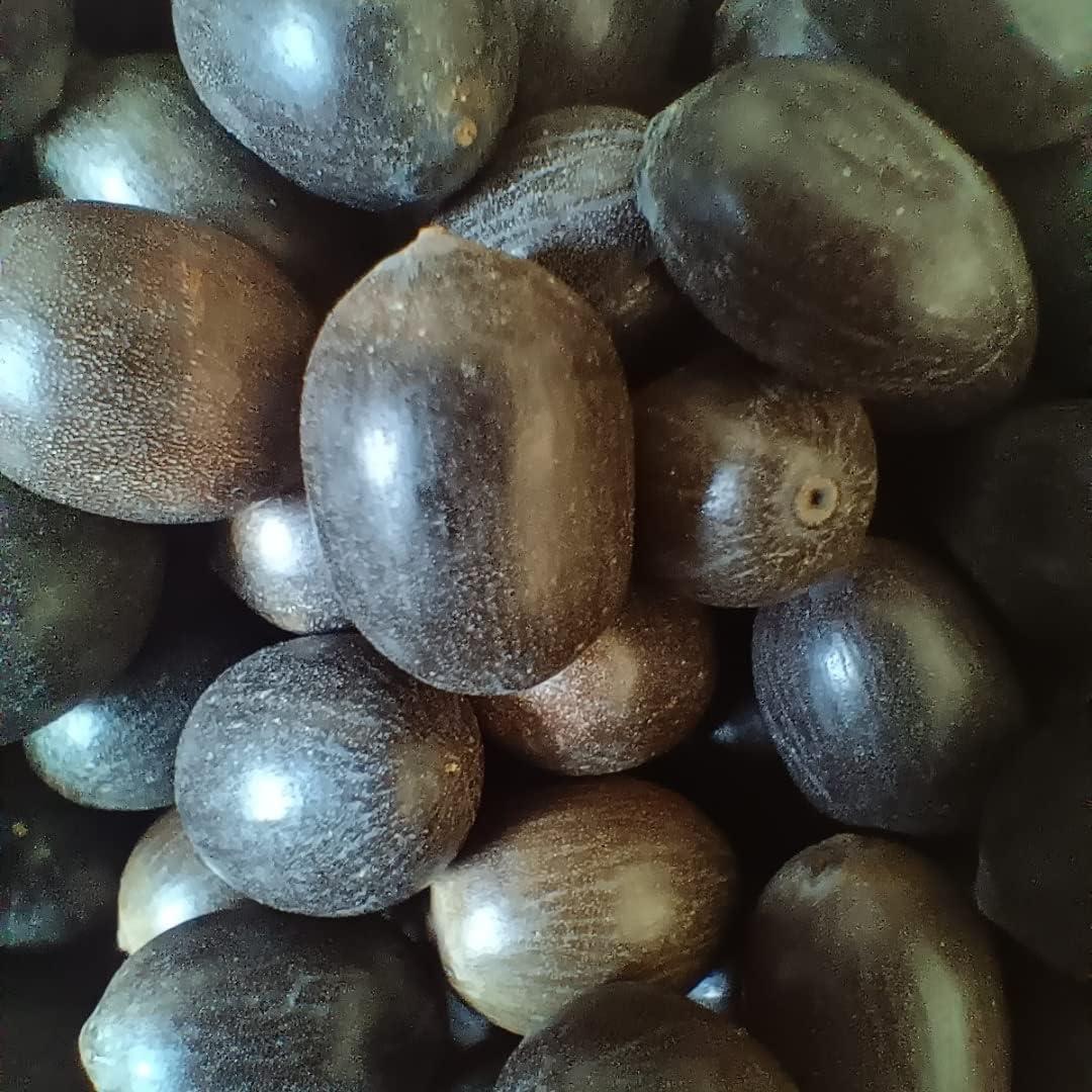 Magic Providers Magic Providers Original Kamal Gatta | Raw Lotus Seeds | Tamara Ginjalu Seeds | Thamarai Vidhai | Makhana Seeds for Laxmi Pooja, Mala & Havan Pack of 5