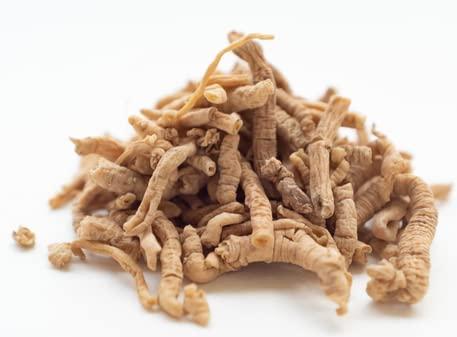 Mystique Mystique Polygala Tenuifolia Extract (50 g)