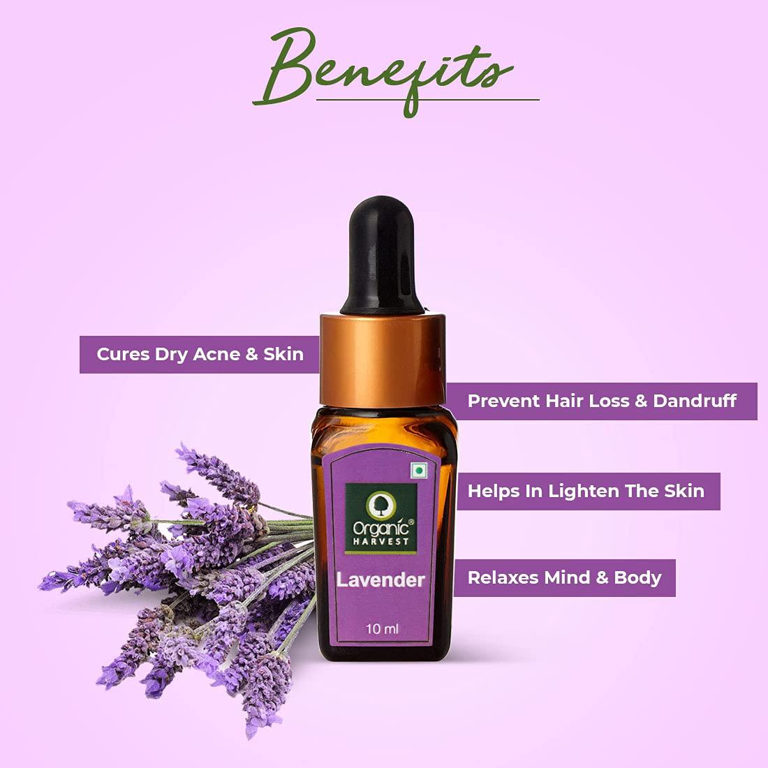 Organic Harvest Organic Harvest Combo of Rose, Jasmine, Lavender & Rosemary Essential Oil, For Face & Hair Care, Pure & Undiluted Therapeutic Grade Oil, Excellent for Aromatherapy,100% Organic, Paraben & Sulphate Free, 10 ml Each