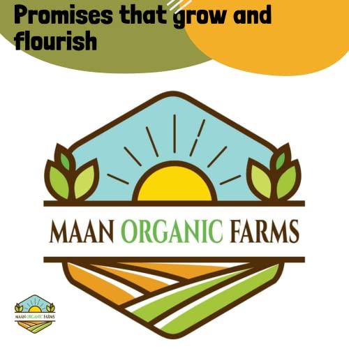 MAAN ORGANIC FARMS MAAN ORGANIC FARMS do kissan 10 kg special Rajasthan RJ-1482 whole wheat high fiber chakki fresh flour atta 10 kg bag