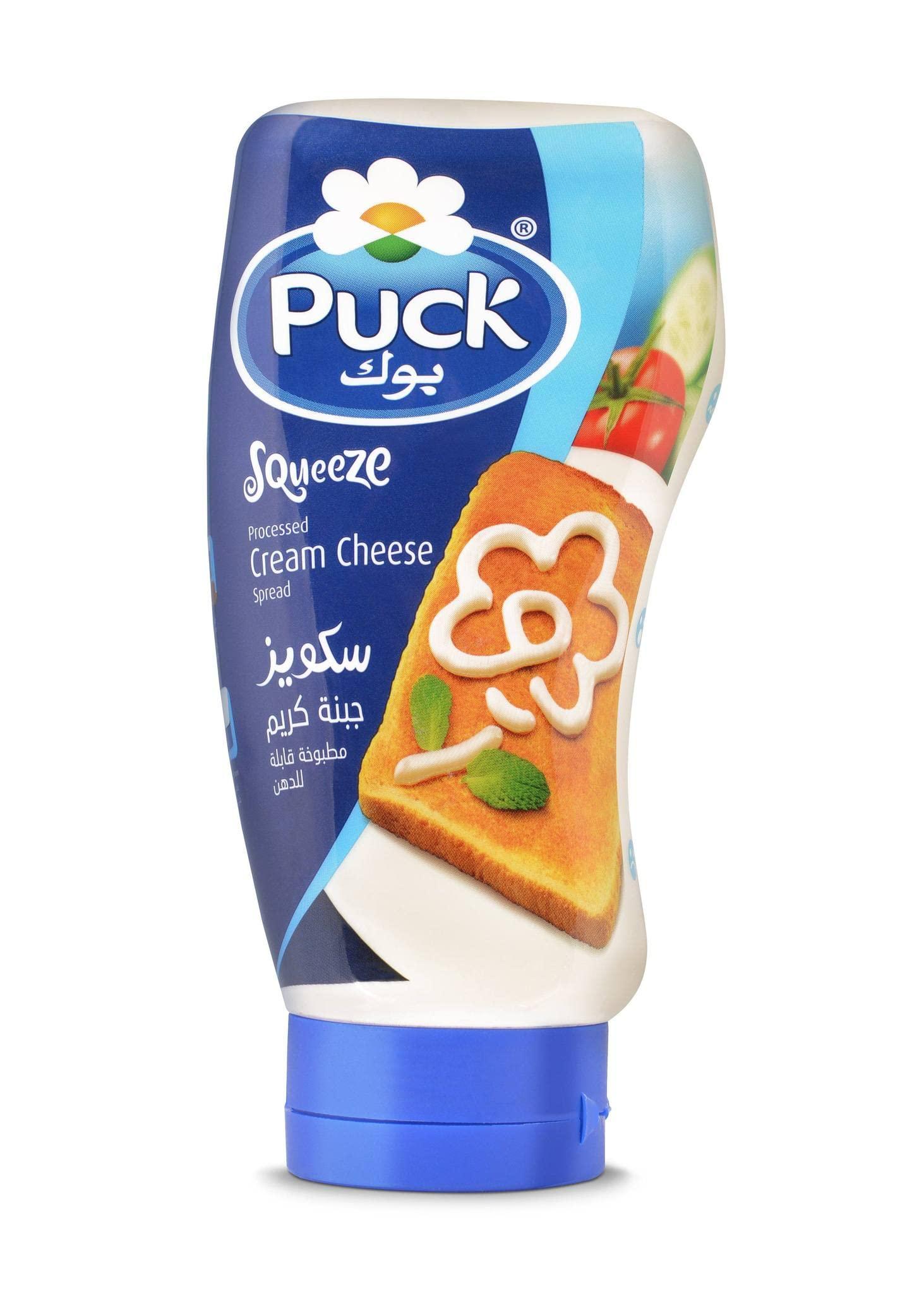 Generic Puck Processed Cream Cheese Spread Squeeze Delicious 400g