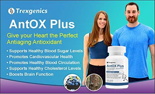 Trexgenics Trexgenics ANTOX PLUS Bilberry 25% 200 mg, Pine bark 90% 200 mg & Vitamin C Advanced Antioxidant complex, Heart, Eyes, Skin, Immunity, Metabolism (60 Vcaps) (1)