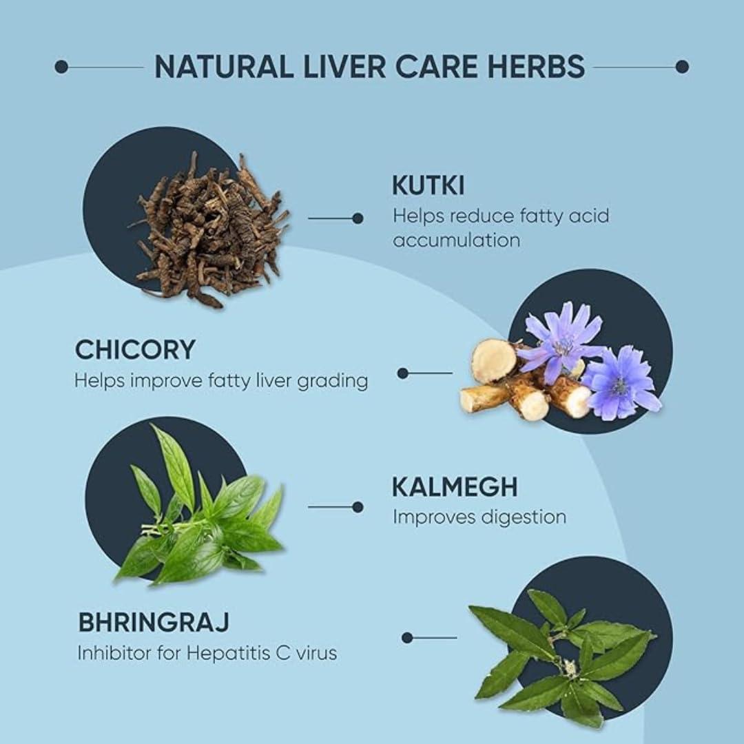 Bansiwala Khadi Gram Udyog Herbal Products jagadhr Liv Care BLOLIVE CAPSULE Plant Based Liver Support Supplement With Milk Thistle, Turmeric, Beetroot, Dandelion | Supports Digestion & Immunity | For Men & Women 30 Veg Capsule