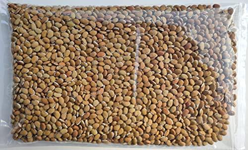 NATURE STAY Nature Stay Red Vaal Beans, Deshi val -900gm