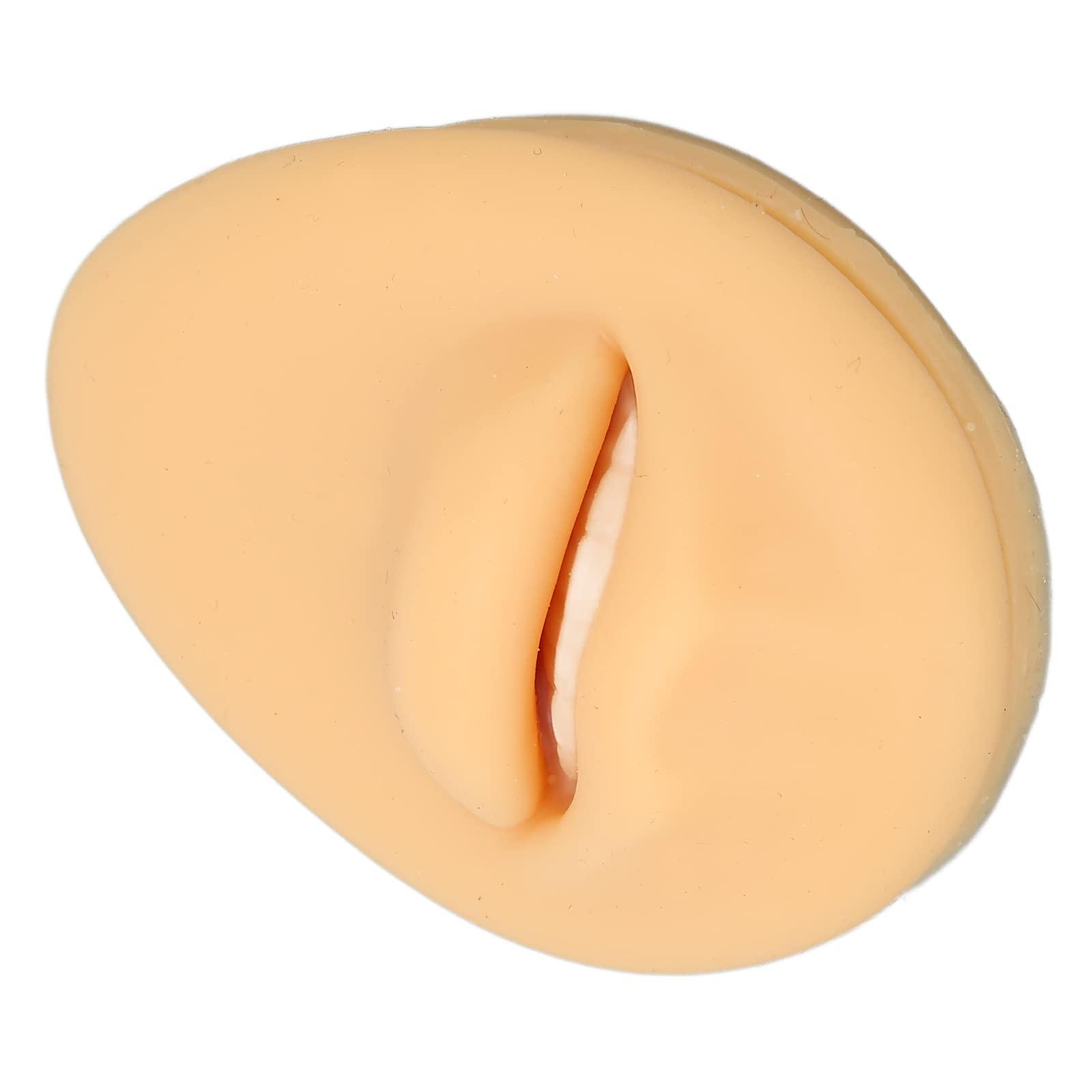 Generic Generic Fake Mouth Model, Lifelike Three Dimensional Teaching Tool Human Mouth Model Flexible for Body Part Display\'